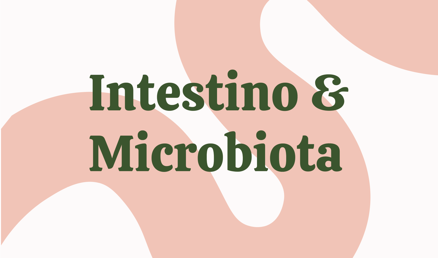 Intestino y microbiota en Alemania. paznutrition.com